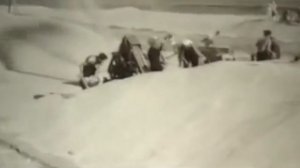 С чего началась история Алтайского края