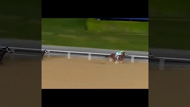 Кабирхан келесі кезеңге дайын #kazakhstan #horses #жеребец #лошадь #kabirhan смотреть онлайн