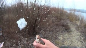 Ловля Весенней ПЛОТВЫ и ГУСТЕРЫ на ДОНКУ. Попали на ЖОР. Оснастка на Червя. Рыбалка в БЕЛАРУСИ.
