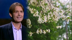 Если б гармошка умела...