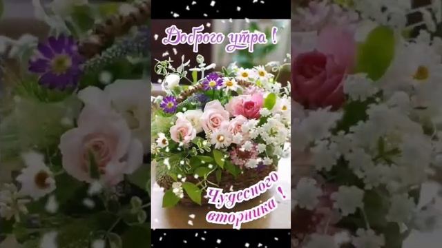 #вторник #хорошийдень #пожелания #открытки