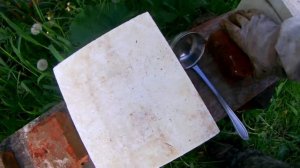 Подготовка и заселение микронуклеусов.