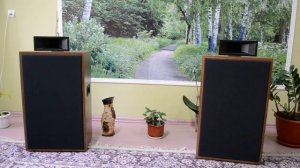 Широкополосная акустика на 4ГД-35