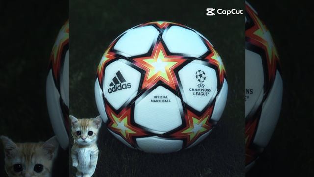 Шаблон Capcut