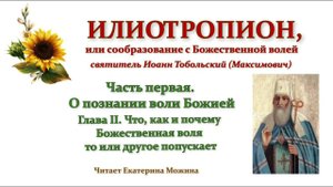 Илиотропион. Ч.1 Гл.2. "Что, как и почему Божественная воля то или другое попускает".