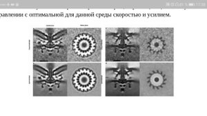 БТГ. Жгутиковый двигатель - 3,4 млрд лет