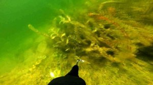 Подводная охота на мелководье!