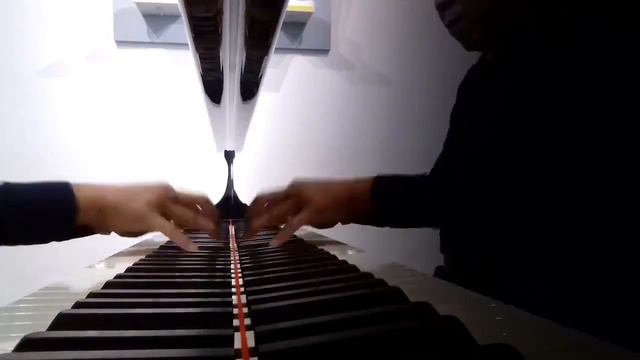 Noorman Widjaja spielt Richard Wagner Walkürenritt смотреть онлайн