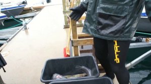 Подводная охота на зубатку и палтуса в  Норвегии.