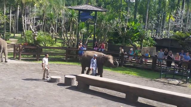 Elephant Safari Park Bali смотреть онлайн