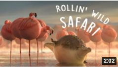 ПРОКАТНОЕ САФАРИ - что, если бы животные были круглыми?.ROLLIN` SAFARI - what if animals were round_