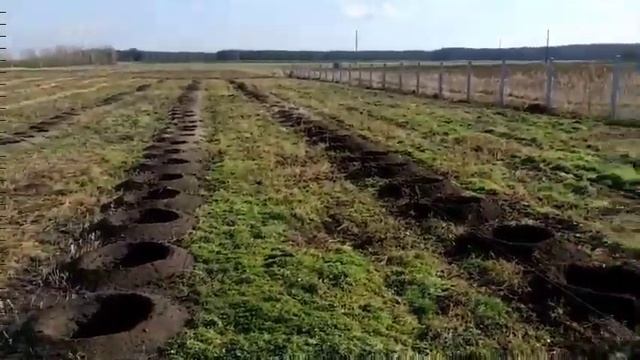 Ямобур Wirax Виракс шнек 600 мм смотреть онлайн