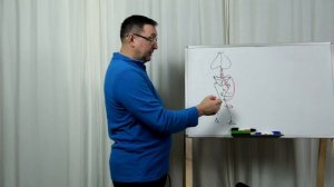 Почему страдают мениски.