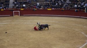 Bullfighting, Corrida, Toros / Spain, Valencia