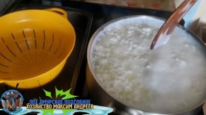 Адыгейский сыр на Яблочном уксусе