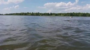 Домашнее озеро калининградской области