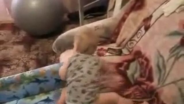 ребенку 1 год, что можно и нужно делать на треке.wmv смотреть онлайн