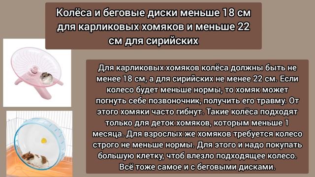 Не покупайте ЭТО для хомяков! смотреть онлайн