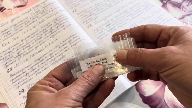 Новинки томатов и перца в моей коллекции на сезон 2024. смотреть онлайн