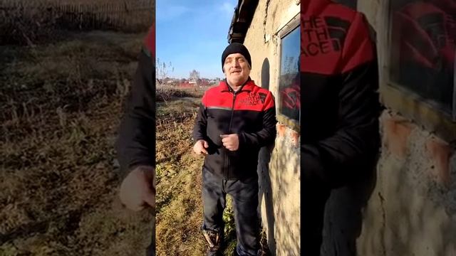 #юмор #анекдоты, отрада-царевна-лягушка пролетела по полной смотреть онлайн