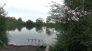Ловля карпа в августе\Горох рулит\Рыбалка с ночевкой\