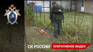 В Калужской области завершено расследование уголовного дела об убийстве молодого человека