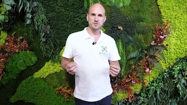 С чего начать делать зеленую стену