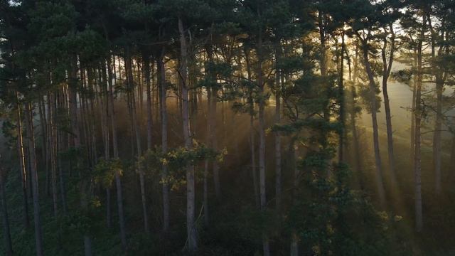 Music for relaxation and sleep / Музыка для релакса и сна. Нежное пианино , звуки природы.