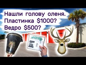 Нашли голову оленя. Ведро $500_ Пластинка за $1000_ Находки в брошенных складах.