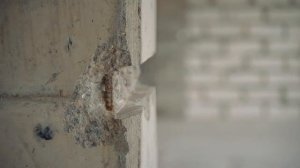 ОБМАНУТЫЕ ДОЛЬЩИКИ: Как дольщики потеряли квартиры, но вернули деньги! Дом-Мегалит в Королёве!