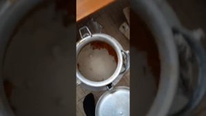 Изготовление браги с Абрикосов и варенье с косточками