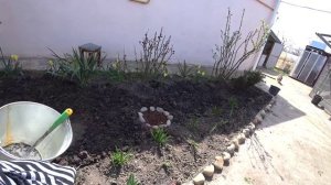 ОДНА ТОЧНО ЖИВАЯ? КЛУМБА ОЖИВАЕТ????ПРИБАВИЛИ В ВЕСЕ?ЕЖИК?