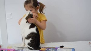Девочка плачет. Кот Вася её успокаивает