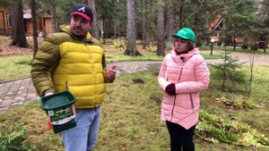 Газон в тени растёт или нет? Да! Смотри быстрее тут!