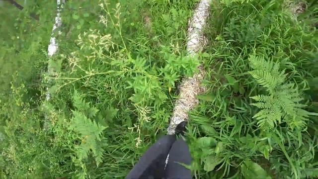 Мультигонка.Abzakovo race.Заблудились в лесу.