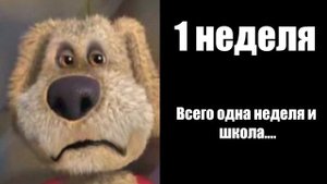До конца лета осталось:
