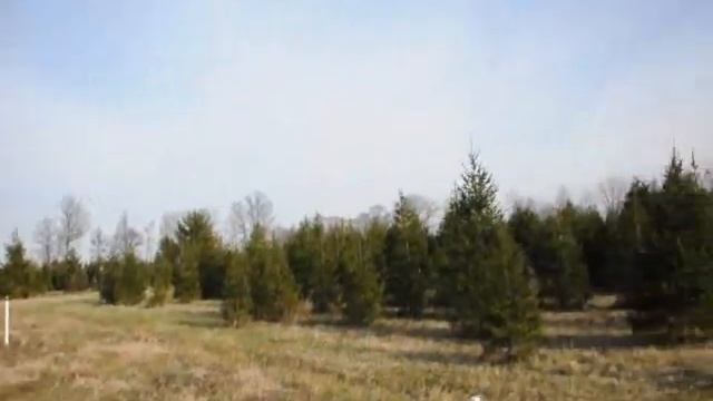 Bucks County Cut Your Own Christmas Tree Here смотреть онлайн