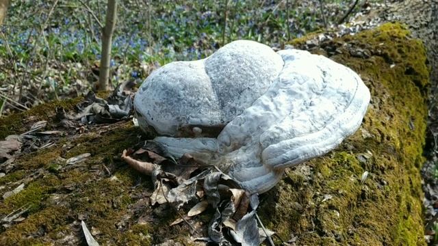 Прощальная весна в белгородской области смотреть онлайн
