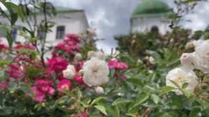 М.Азовских - Хвалите имя Господне