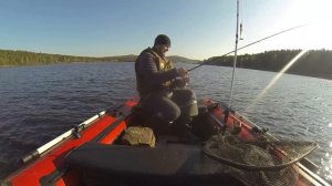 Рыбалка на Спиннинг с лодки. Ловим СУДАКА. Рыбалка на Волчихе