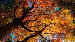 Осенняя песня (по мотивам песни А. Дольского)