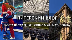 ПИТЕРСКИЙ ВЛОГ | РАБОТА НА УДАЛЁНКЕ | ФИНАЛ МХЛ | МАТЧ ЗЕНИТА
