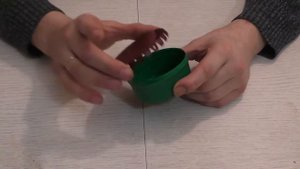 Мотыльница летняя