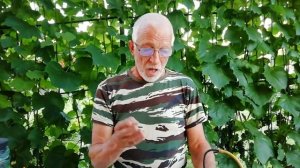 Основные этапы приготовления вина из любой ягоды...