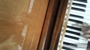 Свадебный Марш?