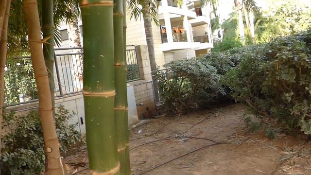 Первые дни нового года! смотреть онлайн