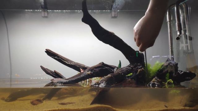 Редизайн челлендж #домасрыбкой. Из харда в травник смотреть онлайн