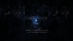 37 Сура Ас-Саффат Мухаммад Дибиров 1-37 сура