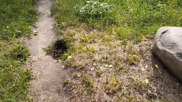 Будте внимательны! смотреть онлайн