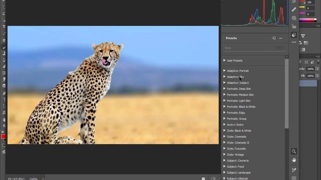 Camera Raw 15.0 All Photoshop Work Free Download By Yasir Editor смотреть онлайн